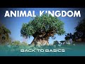 Top Tips for Disney's Animal Kingdom in 2021 | Back to Basics Week