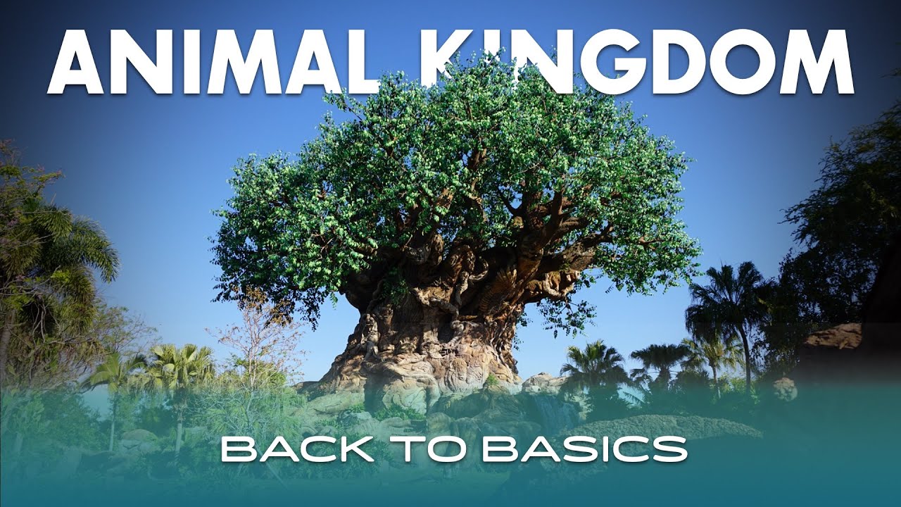 Top Tips for Disney's Animal Kingdom in 2021 | Back to Basics Week