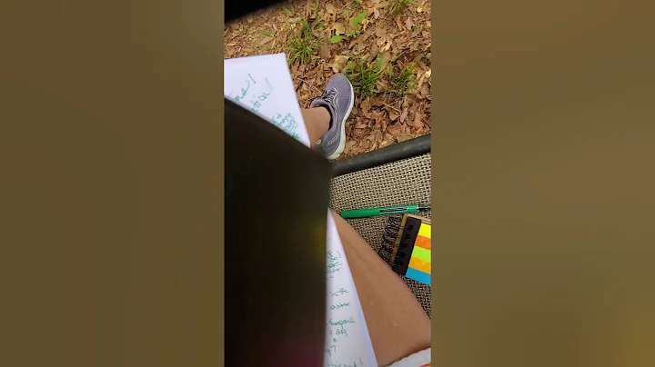 AP Literature: Poetry Analysis "Crossing the Swamp"