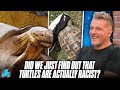 Pat McAfee EXPOSES Turtles As Racists With Some Exquisite Journalism