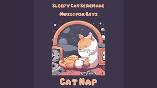 Gentle Cat Pawsteps