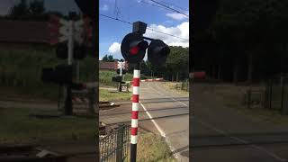 Download Lagu Spoorwegovergang Echt // Dutch Railroad Crossing MP3