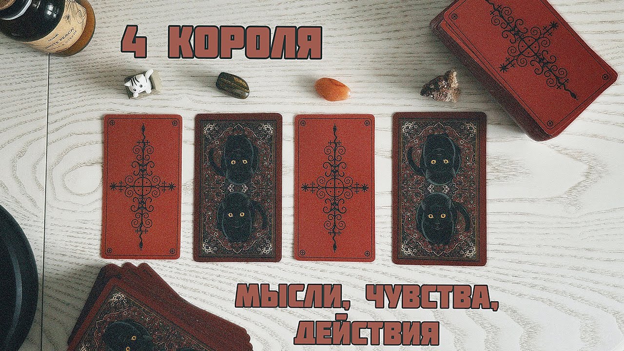 💋4 короля (есть/нет общения): мысли, чувства, действия 