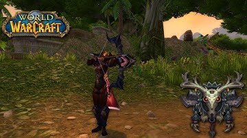 Curso Intensivo - Caçador