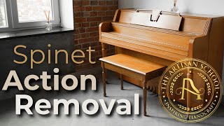 How to remove a spinet action #pianotechnician #pianotuningschool