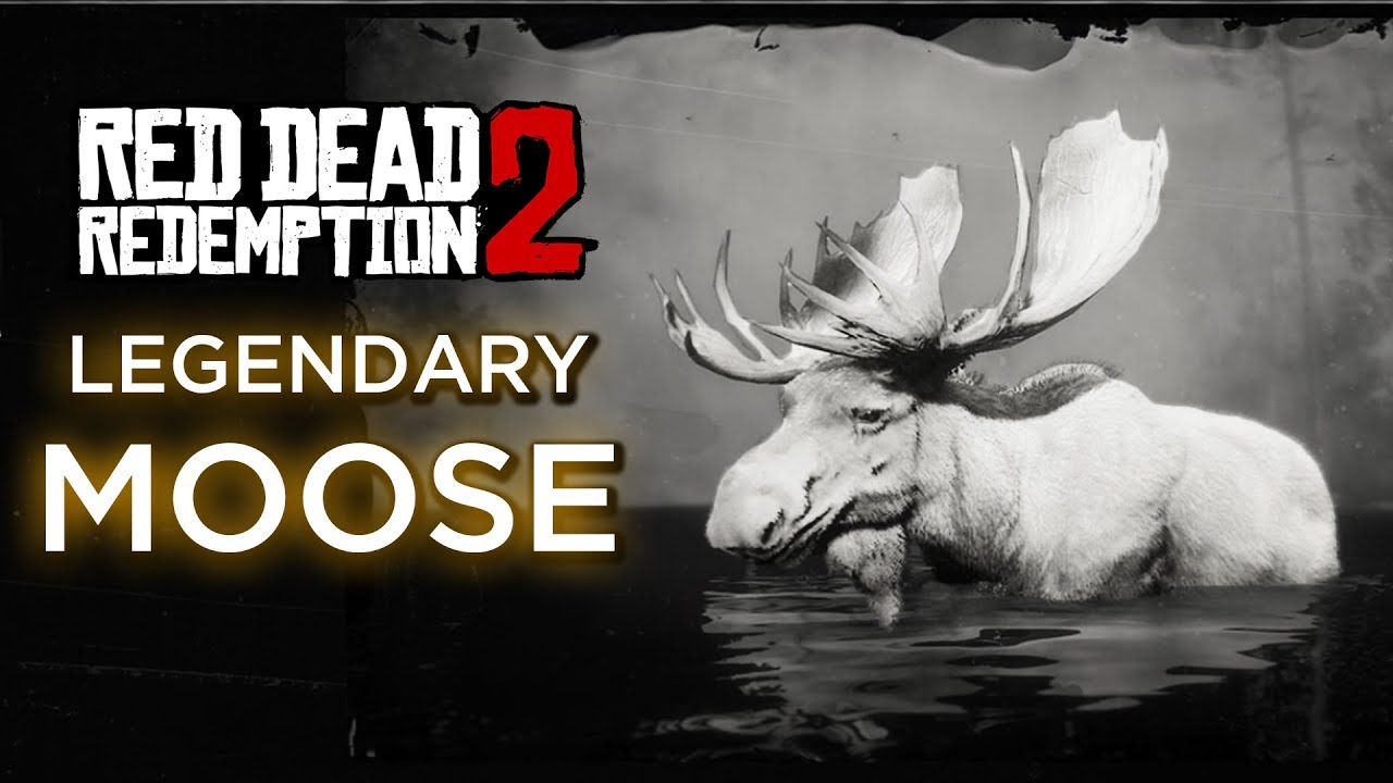 Red Dead Redemption 2 - Legendary Moose - YouTube