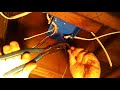 How to wire a junction box 3 14/2 cables