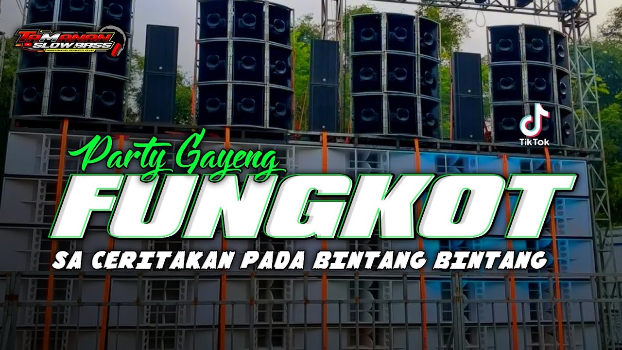 DJ FUNGKOT HOREG❗SA CERITAKAN PADA BINTANG BINTANG FYP TIK TOK