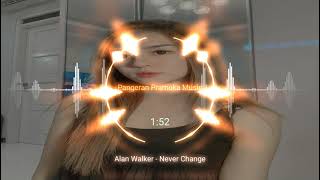 Alan Walker Style - Never Change || New Music 2021