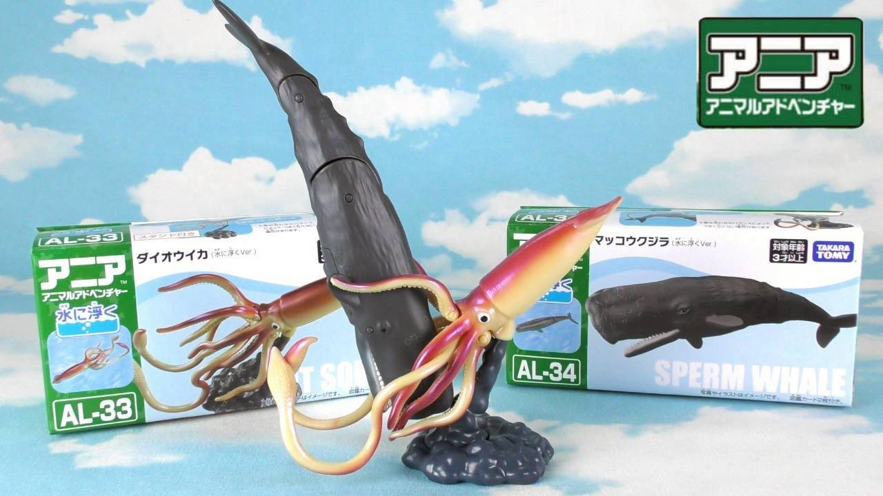 Ania] Giant squid vs sperm whale [I'll put this on display] - YouTube
