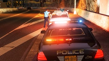 Backup Callout [LCPDFR API]