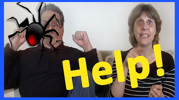 Help! Can you write captions in your language for our ESL lesson videos?
