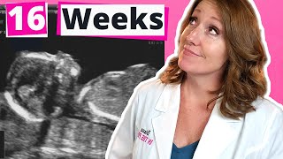 16 Weeks What To Expect 16 Week Ultrasound
