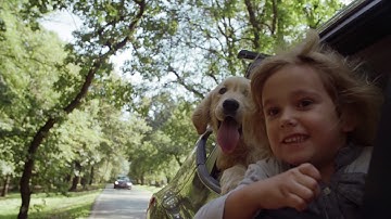 flexi – Promising a good life