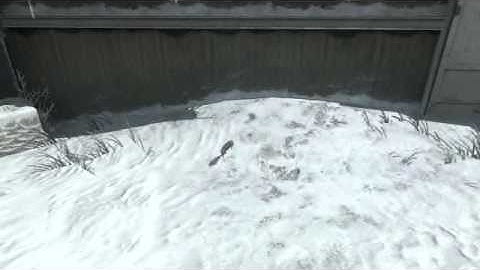 Black Ops: Bouncing claymore