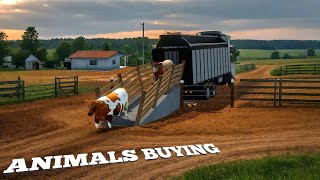 Buying Animals Farming simulator Brazil Transport My Farm  screenshot 1