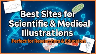 Best Sites for Scientific & Medical Illustrations | Perfect for Researchers & Educators