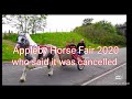 #applebyhorsefair #horses #gypsycobs appleby horse fair 2020 gypsy romany traveller gypsy wagons