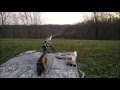 Custom savage 65 creedmoor at 1000 yards