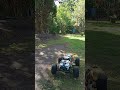 Rc modster dasher und Reely black comando beide mit s3 #garten  #rc #rccar #funny #fup #