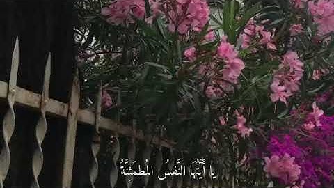 ارح مسمعك قليلا ||القارئ رعد الكردي ﴿يَقولُ يا لَيتَني قَدَّمتُ لِحَياتي﴾ [Al-Fajr: 24-30]