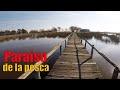 Laguna Kakel Huincul - Tarariras, carpas y toda la pesca