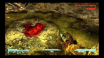 Fallout NV a day in a Supermutant