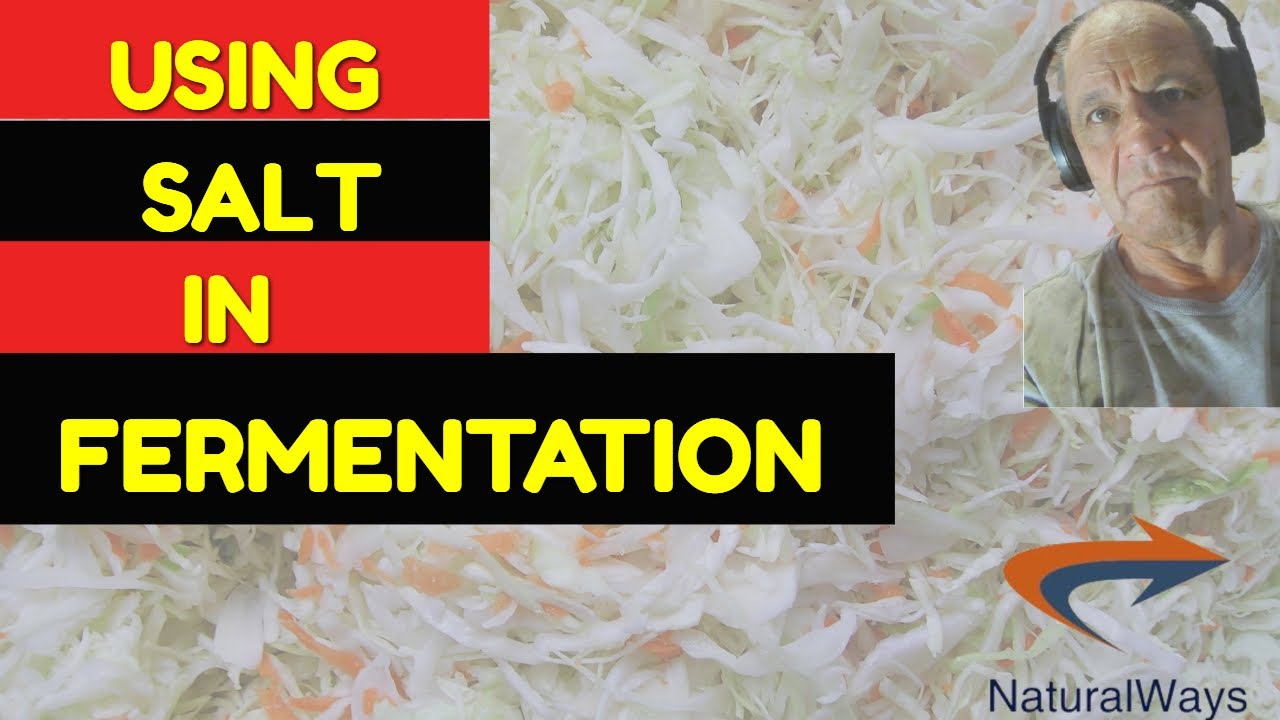 Salt Fermentation Using Salt In Fermentation - The Right Choice And Type Can Be crucial ...