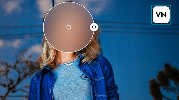 How to blur face on vn video editor