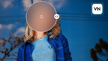 How to blur face on vn video editor