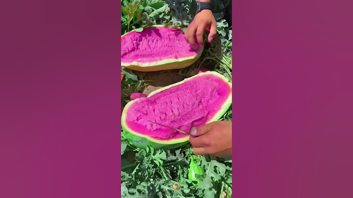 الكل يعرف لون البطيخ احمر لكن يكون مثل هذا اللون 😵‍💫🍉خدعة🤔