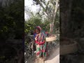 সরিষার ক্ষেত 🌿🌿🌿