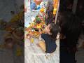 #bholenath #omnamahshivaya #harharmahadev #shorts #hemantexplorer #shambhu #shiva #shivshankar #god