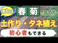 #1. 春菊の育て方【土作り、タネ植え】2週間前から準備します！