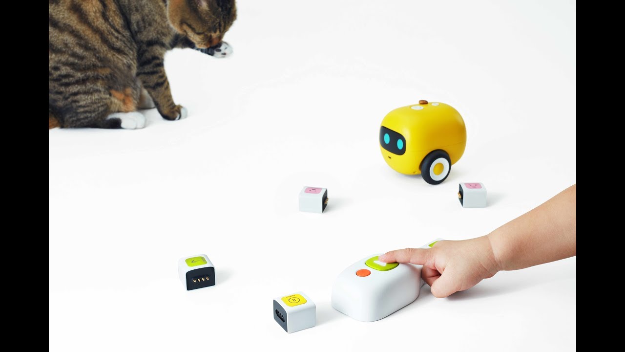 Mango Bot MangoBot Story - YouTube