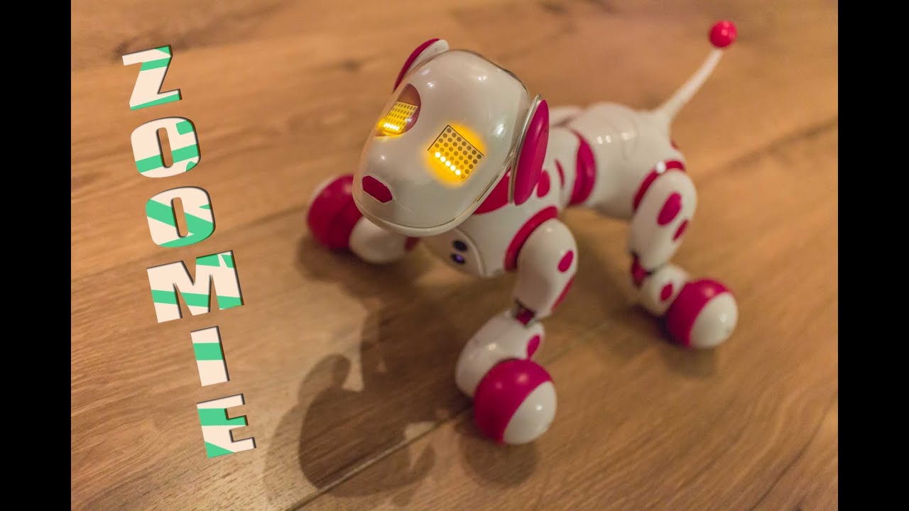 zoomie robot dog