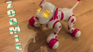 Zoomie Robot Dog