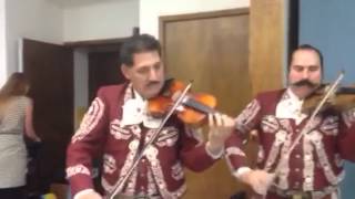 Video thumbnail of "Mariachi Lobo- El Llano Grande."