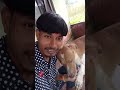 Hos gara hai babu Teslai vancha kukur Feri tmro futaye dela duk*r😆#youtube#funny#comadin#viralvideo