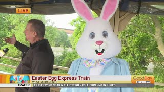 Easter Egg Express Train!