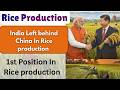 India Left behind China In Rice production take 1st position