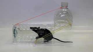 Water bottle Mouse/Rat Trap