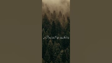 اللهم اجعلنا من الذاكرين الله كثيرًا والذاكرات | #سورة_آل_عمران