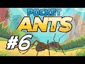 Pocket ants  6  upgrading and conquering