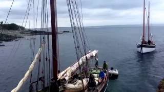 When the boats come in. Sea Salts and Sail Festival 2016. Mousehole, England.
