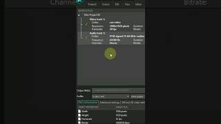 How to export audio from video in VSDC  | #protechnix #vsdc #videoediting