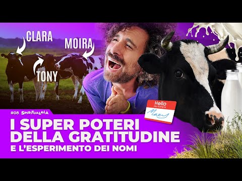 LA POTENZA DEL GRAZIE - MISURATA (ed è 258 Litri) | SPIRITUALALÀ #08