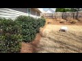 Tucked Pine straw (t&amp;j lawn service )