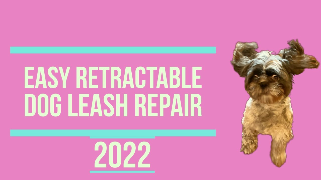 Broken dog leash repair in 5 minutes YouTube