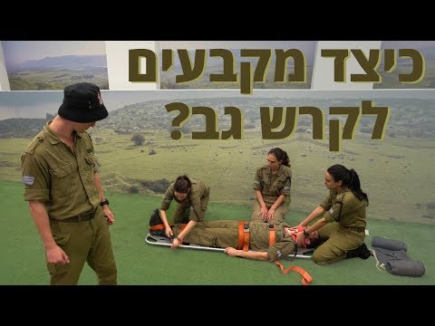 וִידֵאוֹ: מתי הומצאו לוח גב?